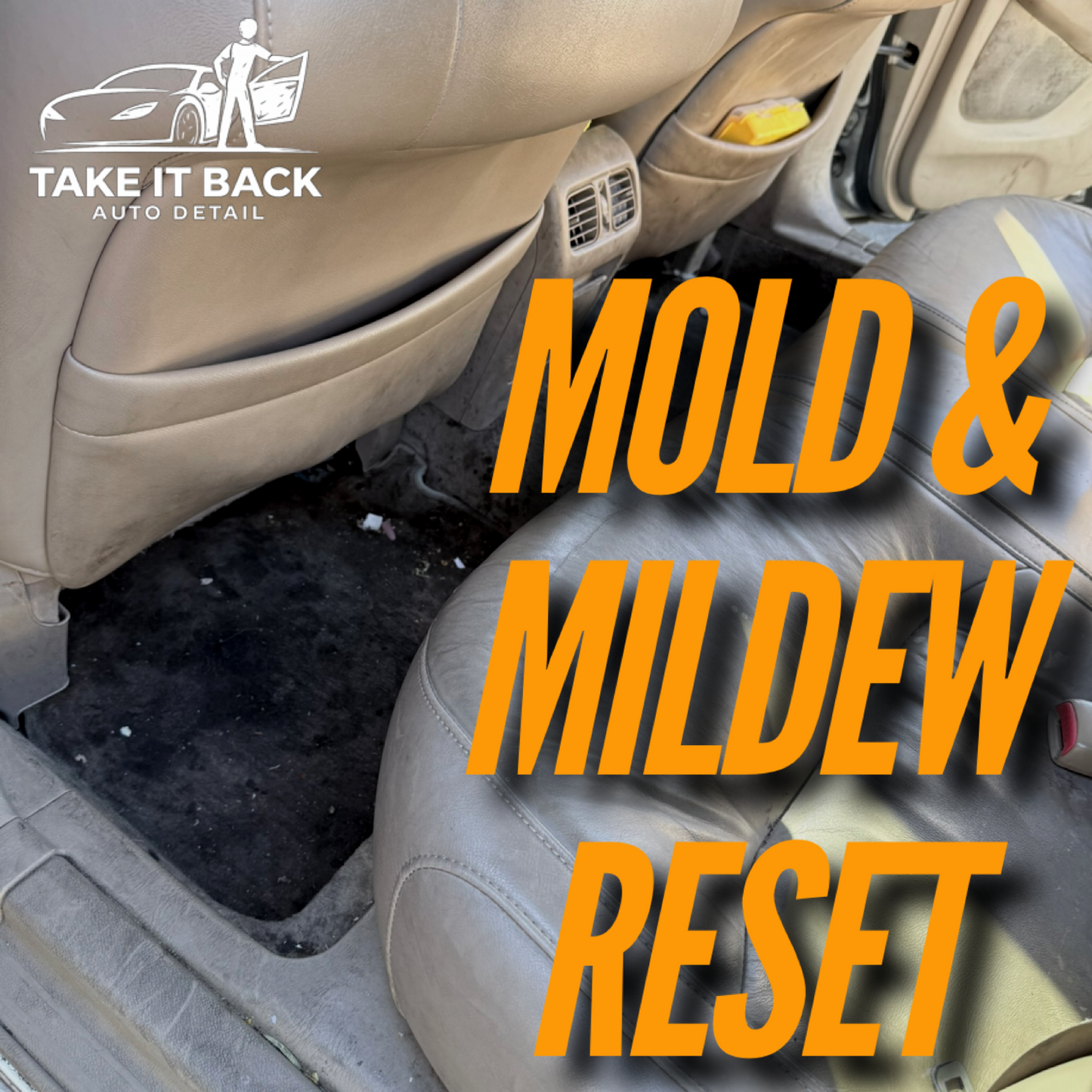 Mold & Mildew Reset (Custom Pricing)