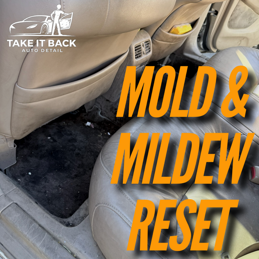 Mold & Mildew Reset (Custom Pricing)
